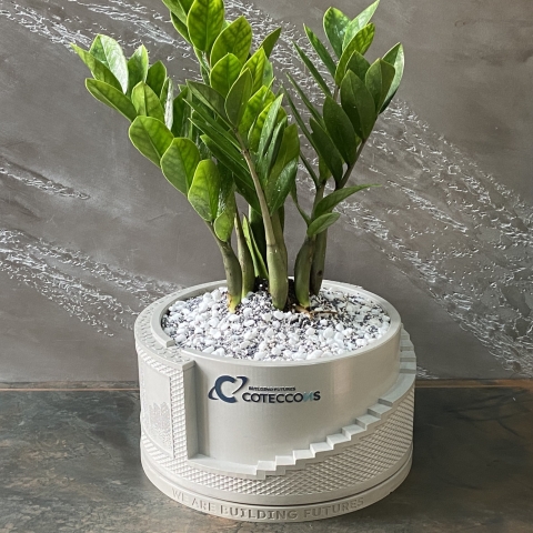 Chậu cây Coteccons